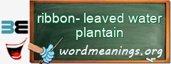 WordMeaning blackboard for ribbon-leaved water plantain